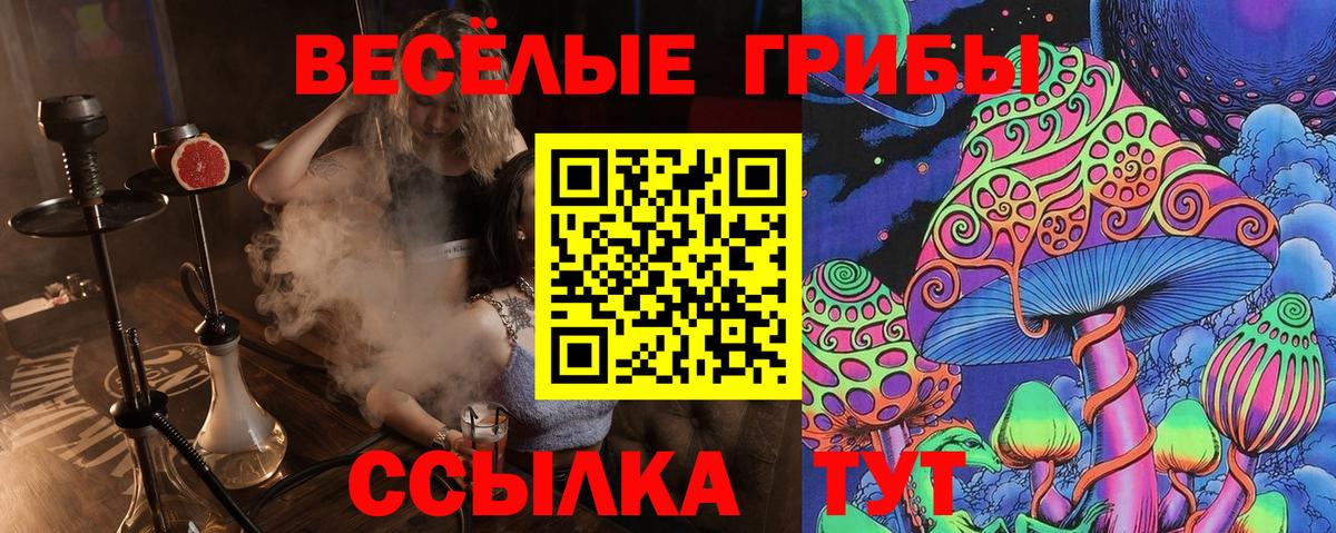 Галлюциногенные грибы GOLDEN TEACHER Новочебоксарск