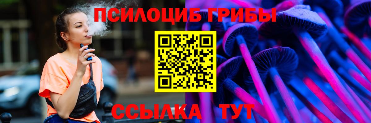 Новочебоксарск  Галлюциногенные грибы MAGIC MUSHROOMS  Вход с VPN  наркотики  Псилоцибиновые грибы Magic Shrooms 